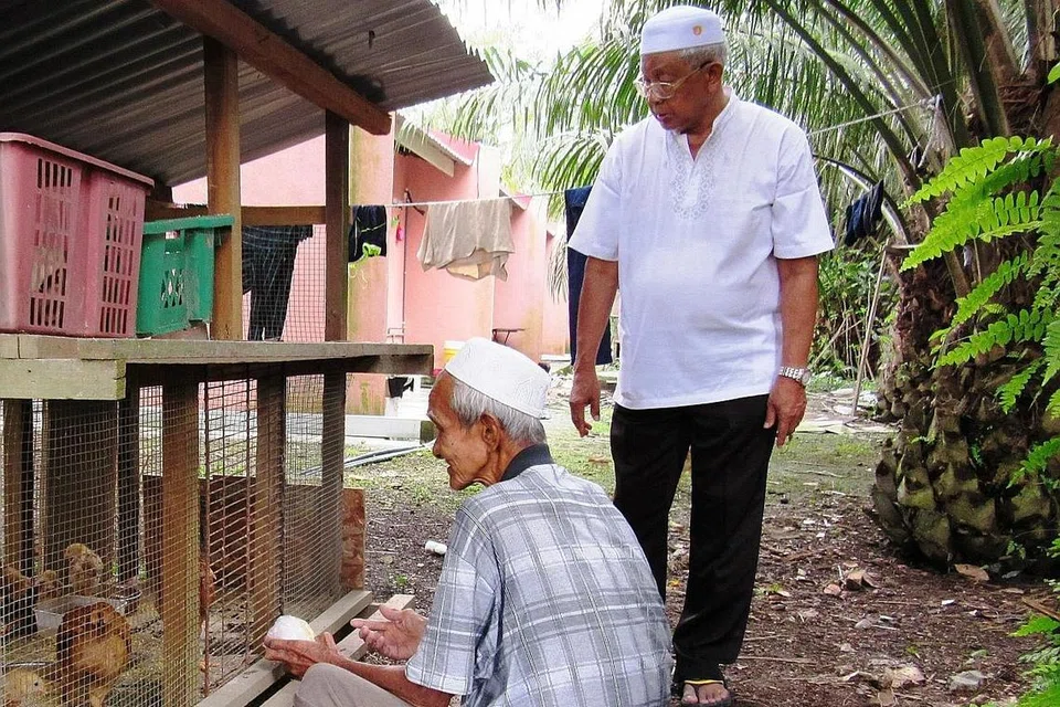 SERBA-SERBI SEGAR: Salah seorang pekerja Encik Misiri yang paling lama, dikenali sebagai Encik Ismail (kiri), memberi makan kepada anak ayam kampung yang dipelihara untuk dimakan. 