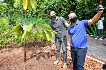 LALUAN HIJAU: Encik Desmond Lee (kanan) dan Speaker Parlimen Encik Tan Chuan Jin mengambil 'selfie' selepas menaman pokok di sepanjang Koridor Alam Semula Jadi Lornie semalam. - Foto BM oleh CHONG JUN LIANG