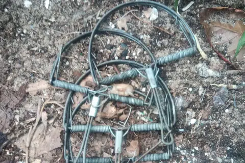 TANGKAP HAIWAN: Perangkap haiwan haram yang dipercayai diletakkan di Taman Pasir Ris.