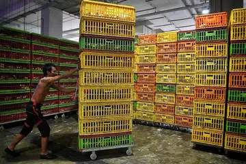 - Foto BH oleh CHONG JUN LIANG