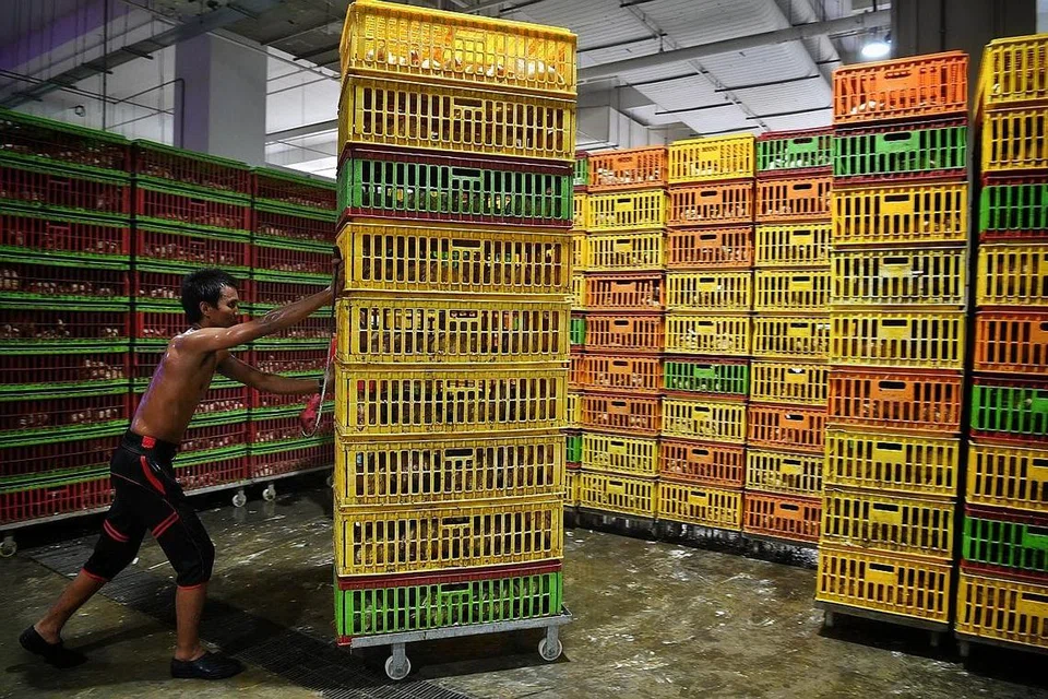 - Foto BH oleh CHONG JUN LIANG