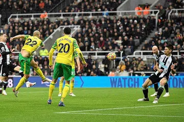 GOL HEBAT: Rembatan cantik Teemu Pukki (jersi nombor 22)memberi Norwich gol penyamaan dalam perlawanan menentang Newcastle yang berkesudahan dengan seri 1-1. - Foto AFP 