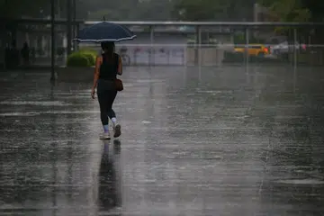 Hujan berterusan berlaku selepas Agensi Sekitaran Kebangsaan (NEA) memberi amaran tentang lonjakan monsun dari 19 hingga 21 Mac.