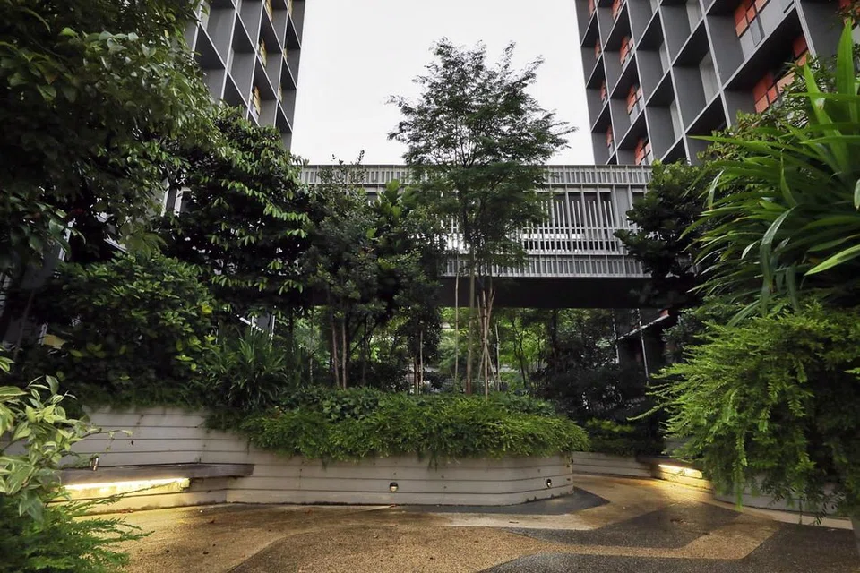 TIDAK MEMBOSANKAN: Salah sebuah daripada taman di Kampung Admiralty yang menyegarkan mata dan minda. - Foto BH oleh GAVIN FOO