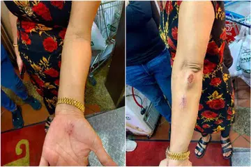 Foto-foto ihsan HINDOCHA NITA VISHNUBHAI