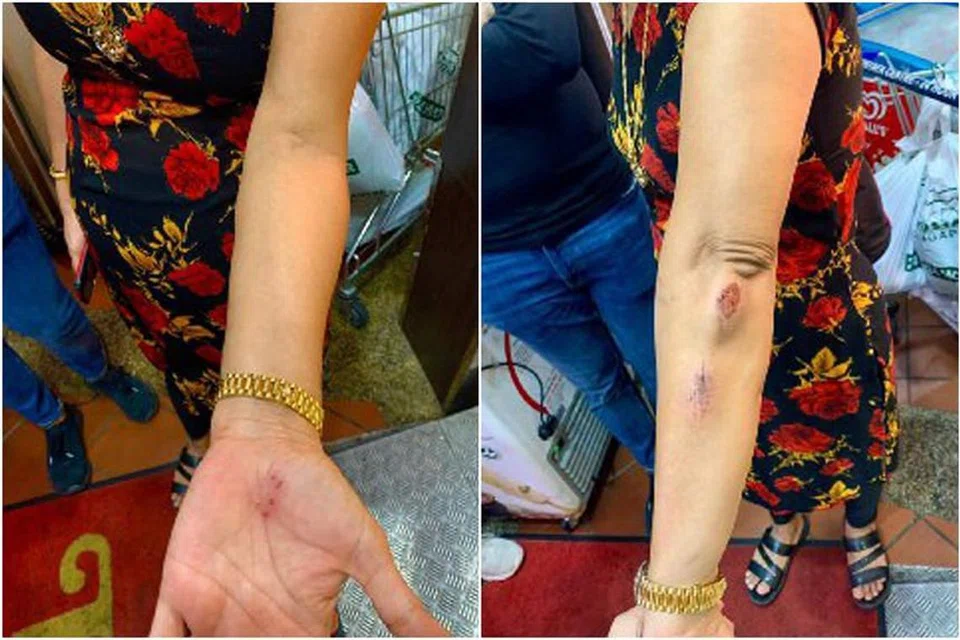 Foto-foto ihsan HINDOCHA NITA VISHNUBHAI