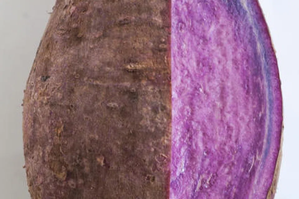 KELEDEK UNGU VIETNAM: Antara makanan yang menyihatkan dan dipercayai dapat mencegah pelbagai penyakit seperti kencing manis serta kemerosotan organ tubuh seperti mata dan otak.