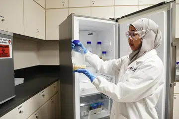Cik Nur Ashira Abdul Rahman, pakar teknologi makmal penyelidikan di Fakulti Pergigian Universiti Nasional Singapura (NUS) memeriksa contoh gigi yang diawet di Bank Tisu Gigi di Pusat bagi Kesihatan Mulut Universiti Nasional Singapura (Nucohs).