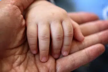 Desmond Lee: Lebih sukar bagi ibu bapa homoseksual bukti mereka tiada hasrat langgar dasar awam tentang keluarga sama jantina apabila mohon ambil anak angkat
