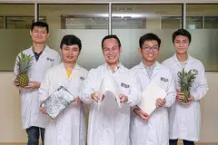 PRODUK MESRA ALAM: Sebuah pasukan penyelidik di NUS, yang dipimpin Profesor Madya Duong Hai-Minh (tengah), menghasilkan kaedah mengubah daun nanas menjadi aerogel mesra alam yang boleh digunakan untuk mengawet makanan dan merawat air sisa. - Foto NUS