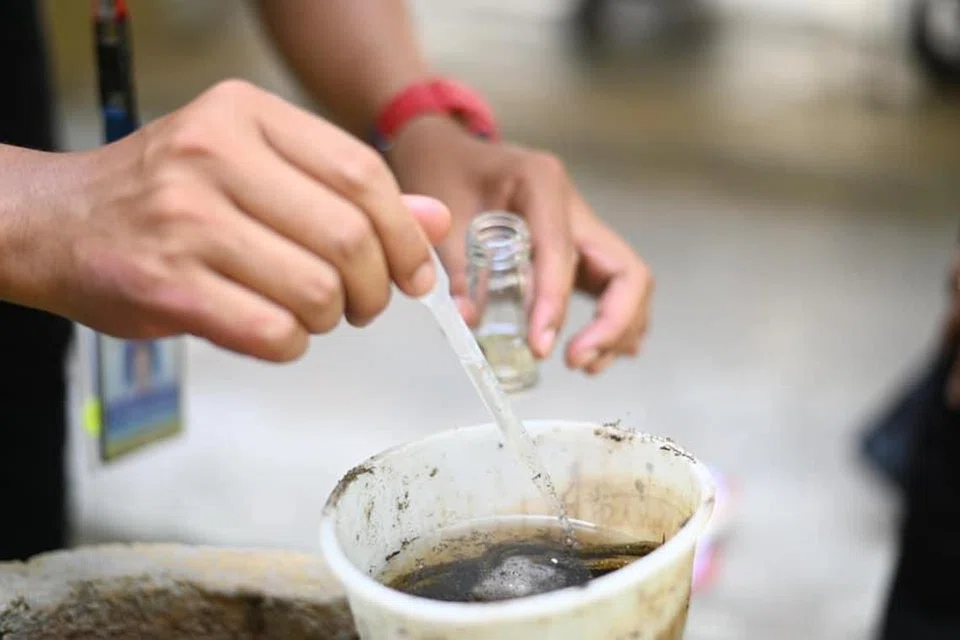Orang ramai perlu memastikan kebersihan kawasan sekitar untuk mengelak air bertakung seperti dalam bekas terbiar, tayar buruk dan pasu bunga yang boleh menjadi habitat dan tempat pembiakan jentik-jentik.