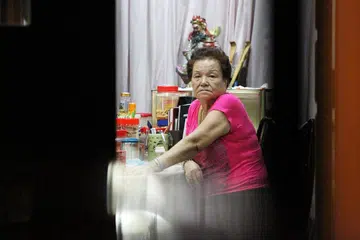 Cik Ng Lye Poh diculik pada 8 Jan 2014 dan dibebaskan esoknya setelah anaknya, Encik Lim Hock Chee, meletak wang tebusan $2 juta di Taman Sembawang. 