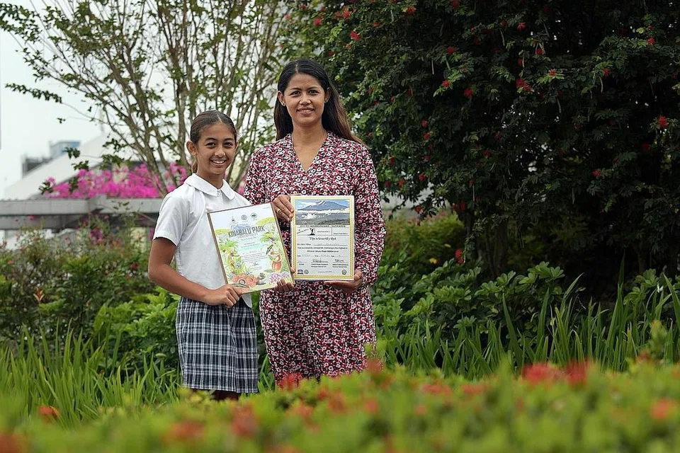 HASRAT TERCAPAI: Zoe (kiri) menunjukkan sijil-sijil pendakiannya termasuk yang terkini ke Kilimanjaro. Dia ditemani ibunya, Cik Sri Noorhazleen Ahmad, yang banyak membimbingnya. - Foto BH oleh ALPHONSUS CHERN