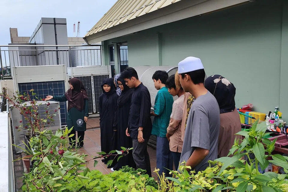 Pelajar Nur Adriana Muhammad Sa’at (dua dari kiri), bersama rakan sekelasnya yang menghadiri program Sijil Pengajian Islam Remaja (SPIR), mendapat bimbingan daripada Ustazah Khadijah Ramli (kiri) ketika mengikuti jejak pembelajaran, atau ‘learning journey’, ke Pergas Green Space.