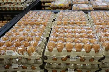 Bermula Ogos 2025, rakyat Malaysia tidak lagi menikmati subsidi telur ayam selepas kerajaan memutuskan untuk menamatkan sepenuhnya pemberian subsidi telur ayam secara berperingkat bermula Mei 2025.