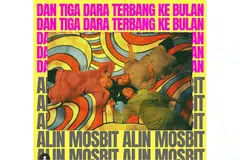 DIBAWA KE WADAH DIGITAL: Monolog watak Pungut dalam Dan Tiga Dara Terbang Ke Bulan dibacakan penulis naskhah teater itu, Aidli Alin Mosbit menerusi projek Rumah yang mengenalkan teater Melayu Singapura kepada masyarakat antarabangsa. - Foto ihsan NUR KHAIRIYAH RAMLI