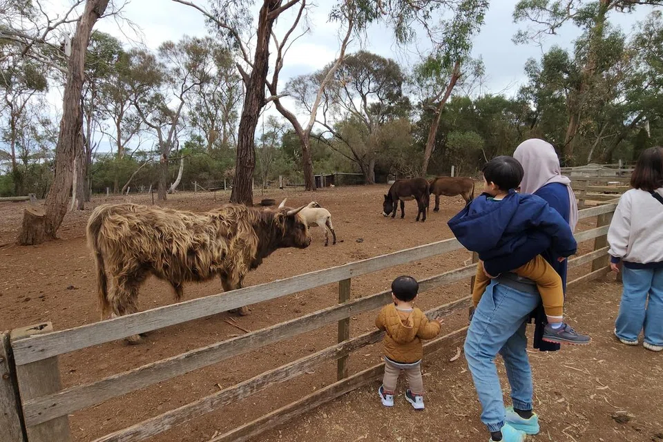 Penulis, Cik Nur Humaira Sajat, bercuti bersama suami dan anak-anaknya di Melbourne, Australia.