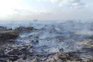 kebakaran ladang johor