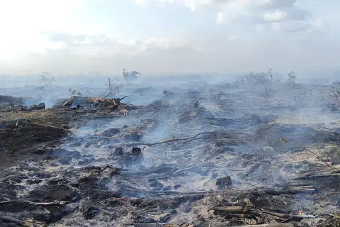 kebakaran ladang johor