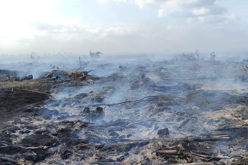 kebakaran ladang johor