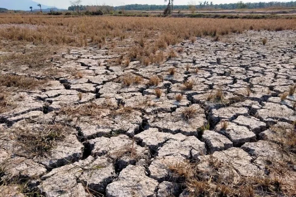 pesawah Kelantan, kemarau, bekalan air