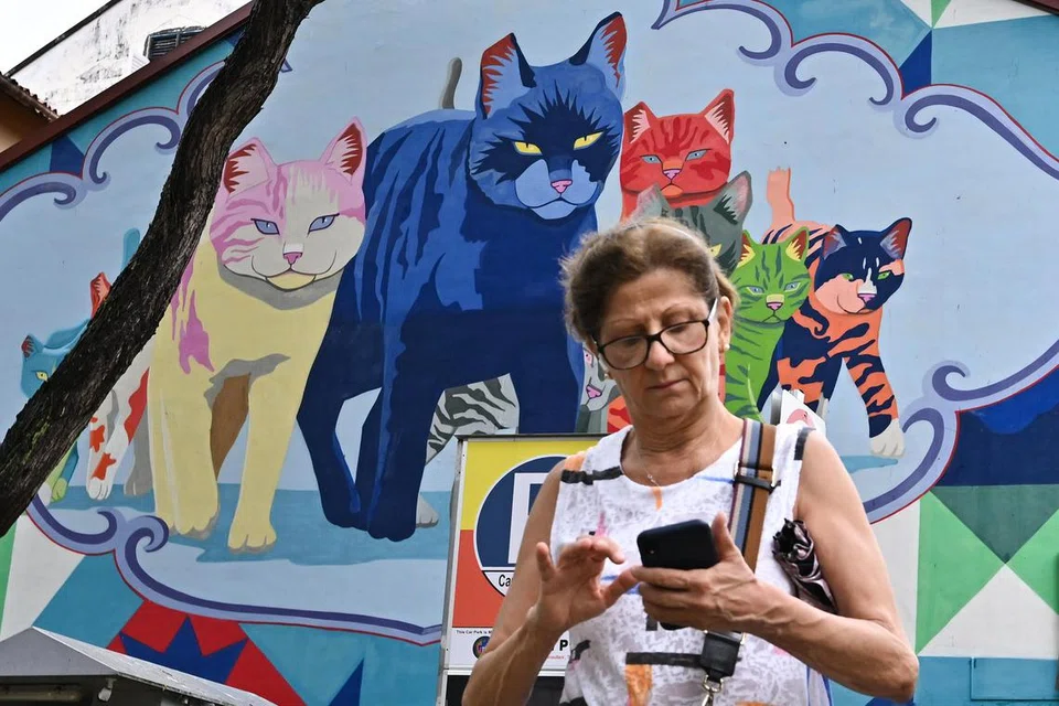 Mural dinding yang terdapat di persekitaran tempat letak kereta di Joo Chiat Road. Titik Tumpuan Pengaktifan Warisan (HAN) bertujuan membolehkan masyarakat Singapura dan penduduk menghargai serta meraikan warisan kejiranan mereka melalui kerjasama bersama NHB dan kumpulan-kumpulan di kejiranan tersebut. Menerusi kerjasama itu, mereka harap masyarakat dapat menikmati acara warisan dengan lebih kerap lagi.