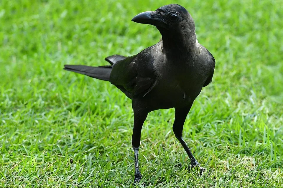 12b843b4-d77a-473d-9e8a-2177549f9db0