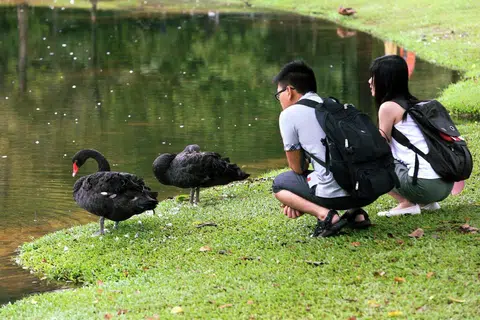 NIKMATI KEINDAHAN ALAM: Para pengunjung menikmati haiwan yang berkeliaran.