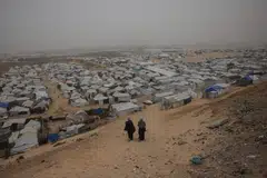 ngo antarabangsa, gaza, tebing barat