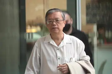 MENGAKU BERSALAH: Tan See Chee mengaku bersalah terhadap dua tuduhan di bawah Akta Taman dan Pokok dan didenda $20,000.