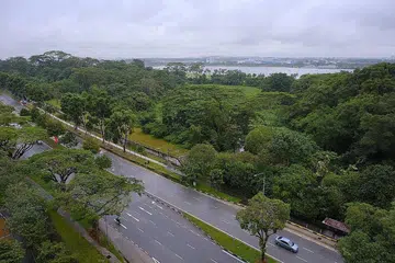 AKAN DIPELIHARA: Tapak pembangunan Miltonia Close merupakan antara tapak berhutan yang akan dijadikan sebahagian Koridor Alam Semula Jadi Khatib. - Foto BH oleh THADDEUS ANG