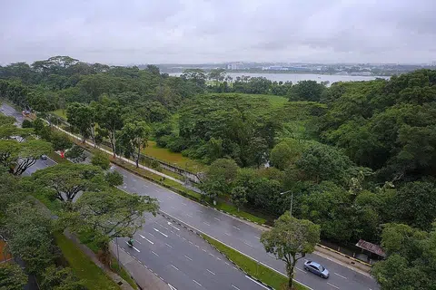 AKAN DIPELIHARA: Tapak pembangunan Miltonia Close merupakan antara tapak berhutan yang akan dijadikan sebahagian Koridor Alam Semula Jadi Khatib. - Foto BH oleh THADDEUS ANG