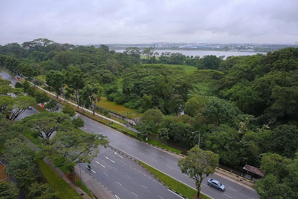 AKAN DIPELIHARA: Tapak pembangunan Miltonia Close merupakan antara tapak berhutan yang akan dijadikan sebahagian Koridor Alam Semula Jadi Khatib. - Foto BH oleh THADDEUS ANG