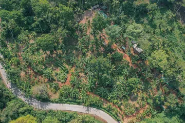 Iris Farm di Conrad Koh Samui (hotel di bawah jenama Hilton) seluas 8,000 meter persegi menghasilkan kira-kira 70 peratus bahan yang digunakan di restoran resort tersebut.