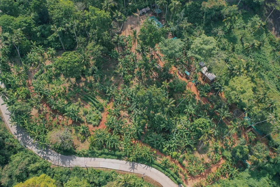 Iris Farm di Conrad Koh Samui (hotel di bawah jenama Hilton) seluas 8,000 meter persegi menghasilkan kira-kira 70 peratus bahan yang digunakan di restoran resort tersebut.