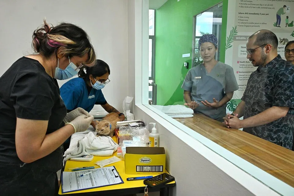 Setiausaha Parlimen Kanan (Pembangunan Negara merangkap Pendidikan), Dr Syed Harun Alhabsyi (kanan), diberi taklimat oleh Pengarah Perkhidmatan Haiwan dan Veterinar (AVS), Dr Lin Anhui (dua dari kanan), mengenai prosedur pemasangan mikrocip di bawah program Sokongan Kembiri Kucing Peliharaan (PCSS) di Pusat Pengurusan Haiwan (AMC), di Sungei Tengah Road, pada 20 Julai.