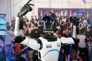 Duta Robot Penglibatan Masyarakat, jenayah
