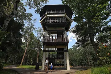 1. MENARA PASIR RIS UNTUK MENYAKSIKAN BURUNG. - Foto BH oleh KEVIN LIM