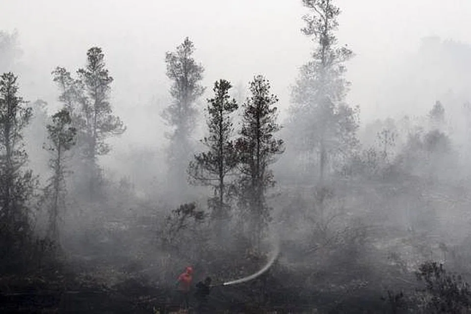 JEREBU TEBAL ISI RUANG UDARA: Anggota bomba dari Kementerian Perhutanan menyembur air di kawasan hutan tanah gambut yang terbakar di Kampung Rimbo Panjang di Kampar, Kepulauan Riau, Indonesia. - Foto REUTERS