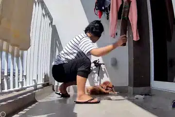 Pembantu rumah terbabit dilihat memukul anjing jenis ‘poodle’ yang sedang meraung dalam kesakitan menerusi rakaman kamera litar tertutup (CCTV) di rumah majikannya.