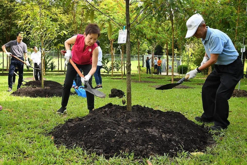 MENANAM POKOK: Cik Grace Fu (kiri) dan Encik Fong Chee Leong, 72 tahun, bekas ketua pengarah Kementerian Alam Sekitar (Ministry of Environment), yang kini dikenali sebagai Kementerian Kemampanan dan Sekitaran (MSE), menanam pokok Horsfieldia polyspherula di Punggol Waterway Park sempena menyambut ulang tahun ke-50, semalam. - Foto BH oleh CHONG JUN LIANG