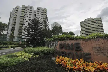Kondominium Pine Grove di Ulu Pandan gagal menarik pemaju dalam pelancaran penjualan kolektif. Ia adalah kegagalan terbaru dalam satu siri penjualan kolektif rumah privet di Singapura. 