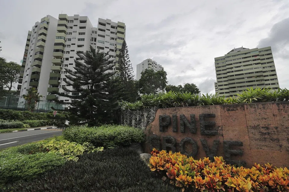 Kondominium Pine Grove di Ulu Pandan gagal menarik pemaju dalam pelancaran penjualan kolektif. Ia adalah kegagalan terbaru dalam satu siri penjualan kolektif rumah privet di Singapura. 