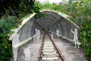 JEJAK ALAM SEMULA JURONG LAMA: Dengan jejak alam sepanjang empat kilometer, pengunjung boleh menghargai alam semula jadi dan unsur warisan Laluan Jurong Lama seperti terowong lama. - Foto NPARKS