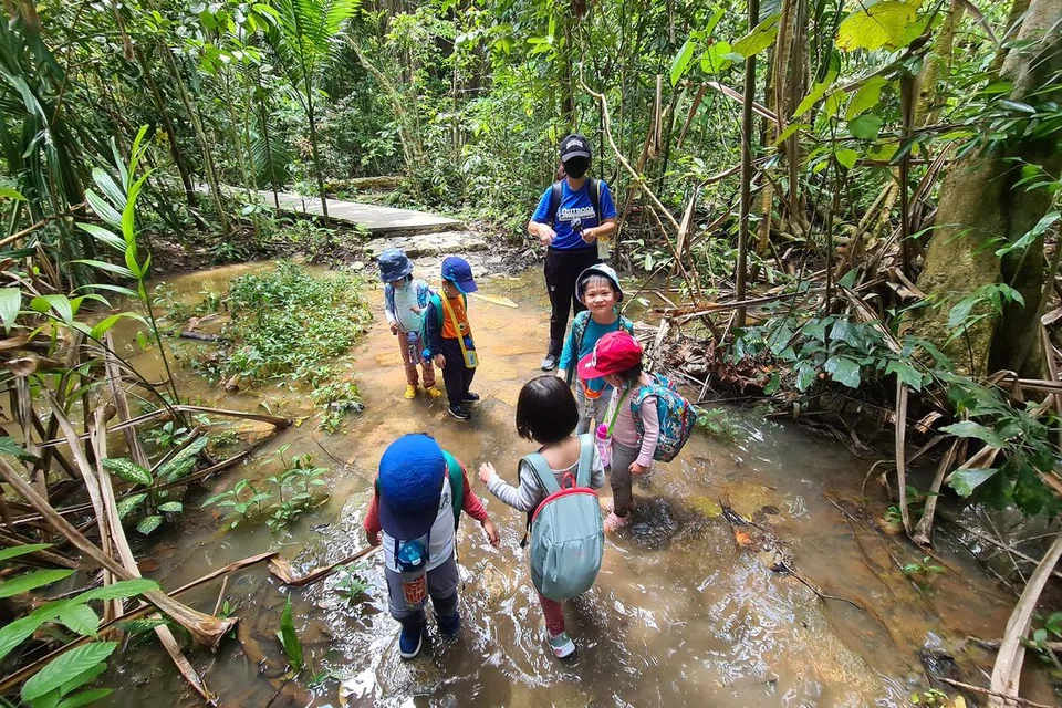 DALAM HUTAN: Ibu bapa boleh menyertakan anak-anak berusia empat hingga tujuh tahun dalam Program Young Hikers bagi mereka belajar menghargai alam semula jadi dan perkara yang boleh dan tidak boleh dilakukan apabila bertemu dengan hidupan liar.
