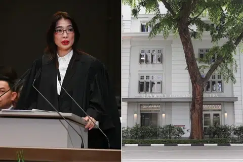 persatuan guaman, siasatan salah laku, lisa sam hui min
