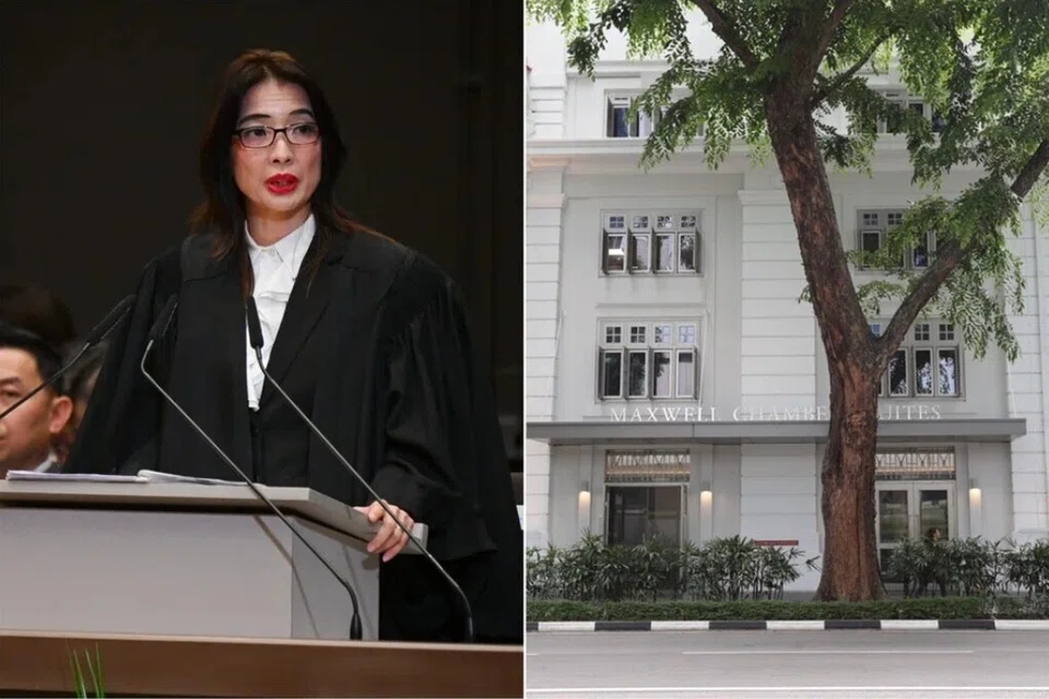 persatuan guaman, siasatan salah laku, lisa sam hui min