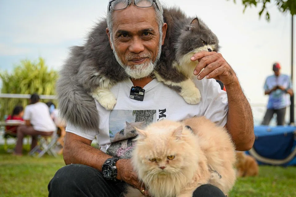 ‘CAT WHISPERER’:  Encik Khairizal Mohd Said menghimpunkan pemilik kucing di pantai East Coast setiap Sabtu. Beliau bergambar bersama dua ‘teman baiknya’ - Bumblebee dan Jerry (di bahunya). 