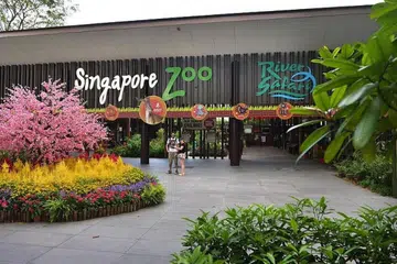 DILARANG MEMBIDA: WRS kini melarang tiga syarikat berkenaan - Shin Yong Construction, Geoscapes dan Hong Power Engineering - membida bagi sebarang projeknya. - Foto fail ST