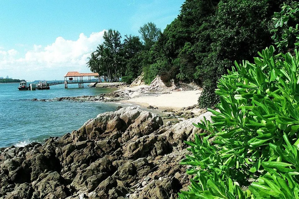 MAHU SNORKELING 30 MINIT SAJA: Menurut isterinya, mangsa merancang melakukan snorkeling selama 30 minit sahaja di perairan berhampiran Taman Marin Sisters' Islands Ahad lalu, tetapi kemudian hilang. - Foto fail.